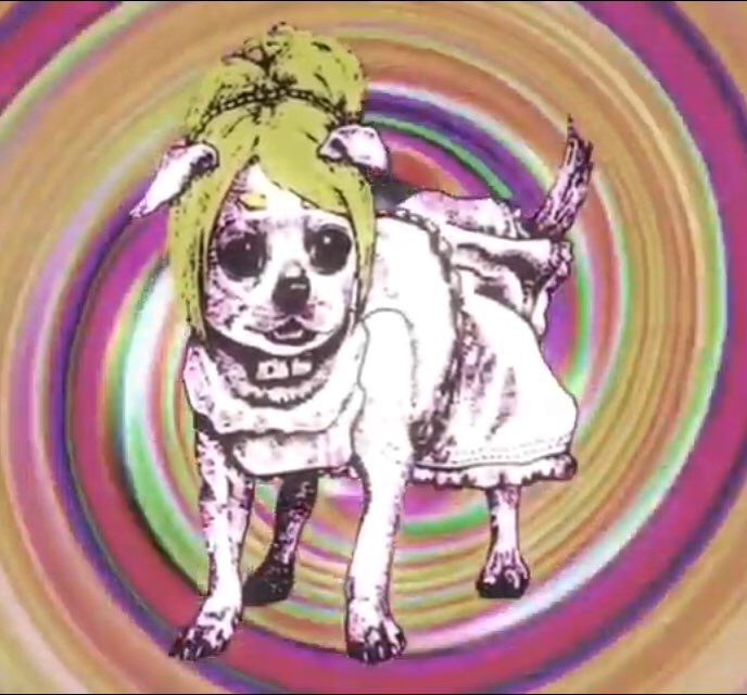 bad dog 1.jpg