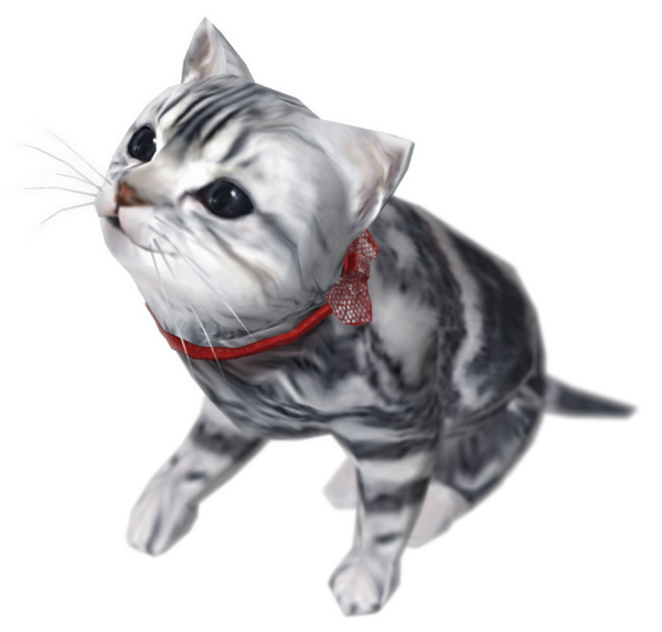 catjeane.jpg